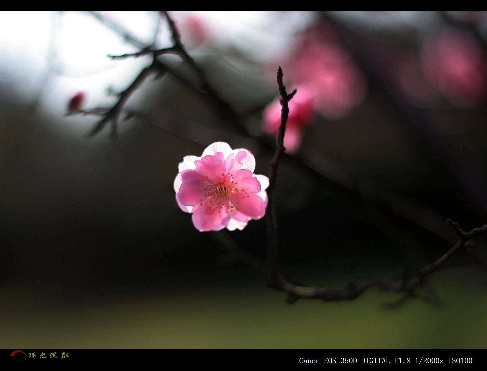 IMG_0254_副本.jpg