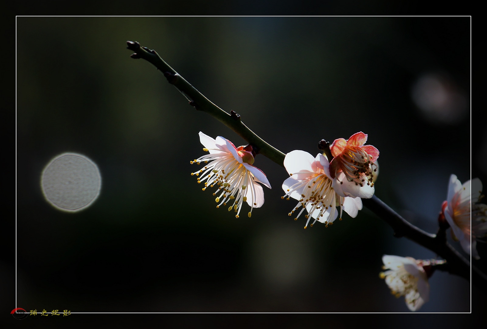 IMG_1285_副本.jpg