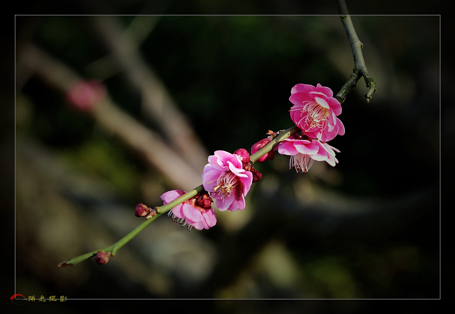 IMG_1292_副本.jpg