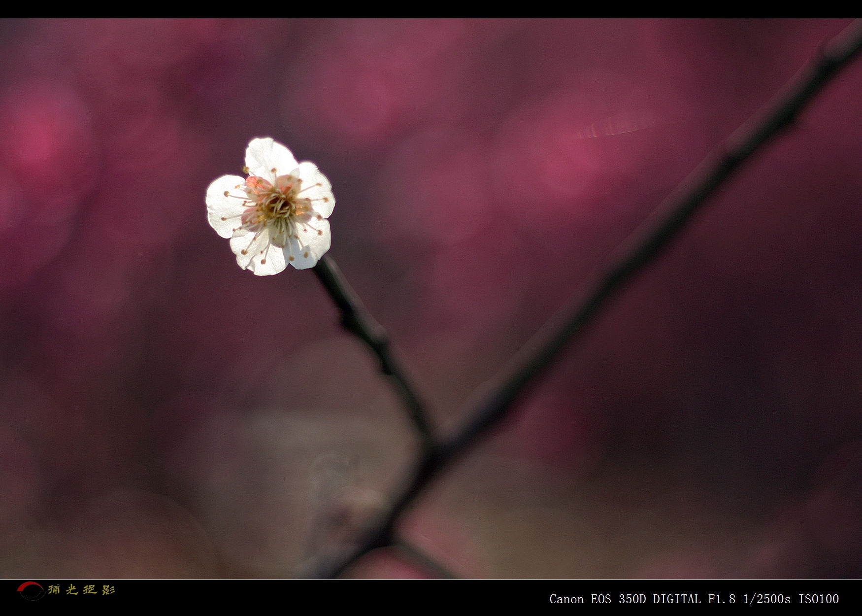 IMG_0285_副本.jpg