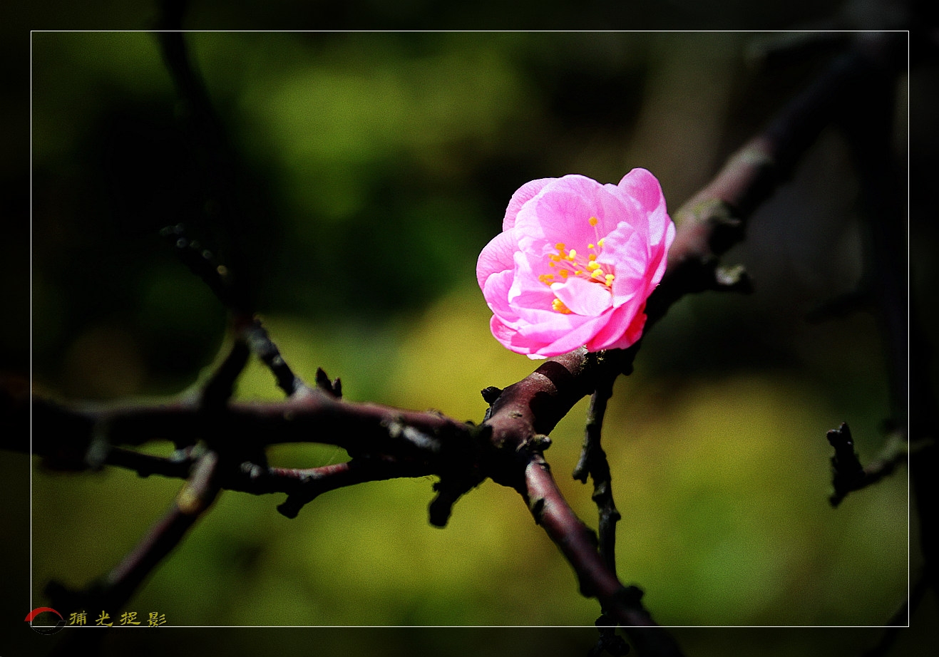 IMG_1275_副本.jpg