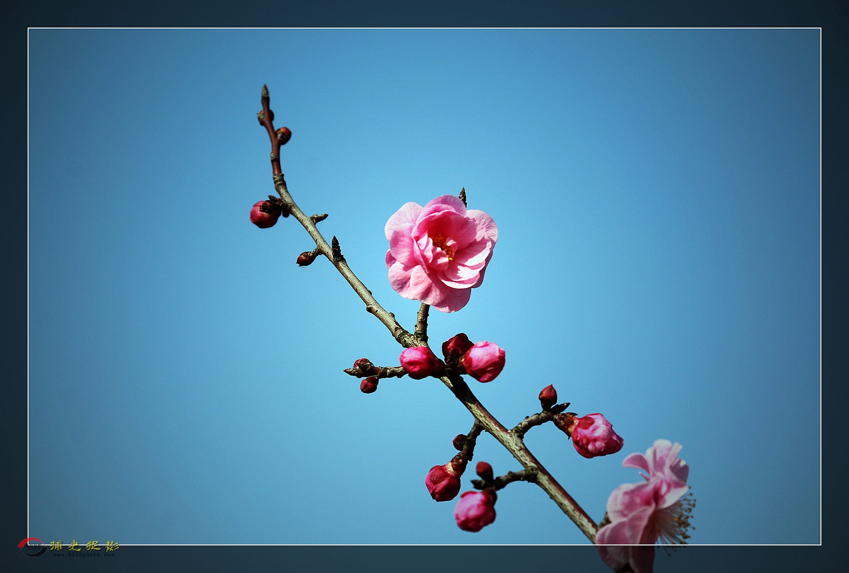 IMG_1279_副本.jpg