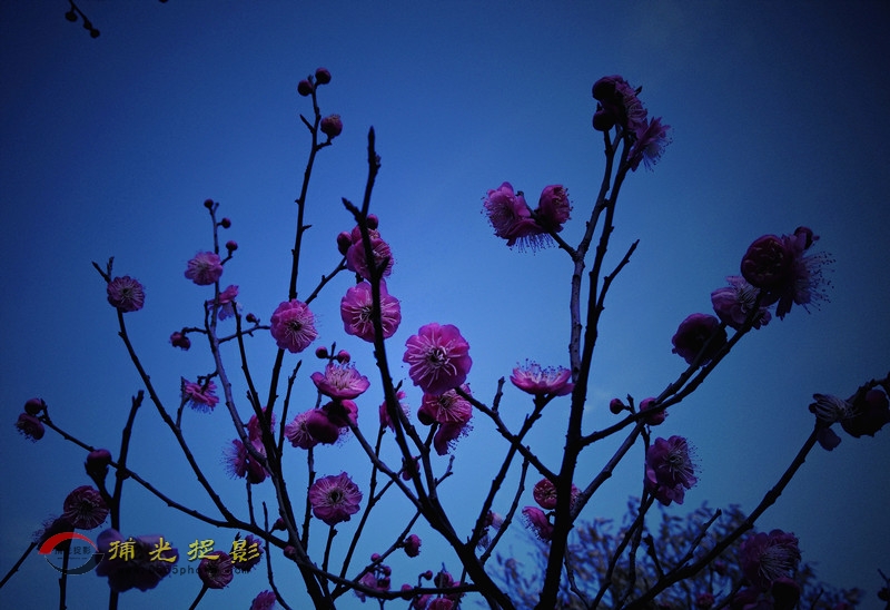 IMG20160214144257_副本_副本.jpg