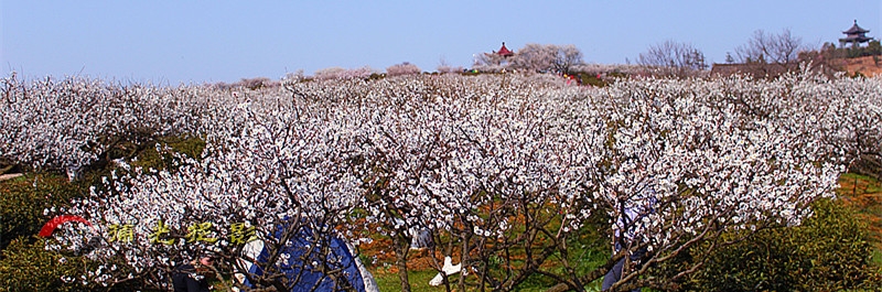IMG_9194_副本.jpg