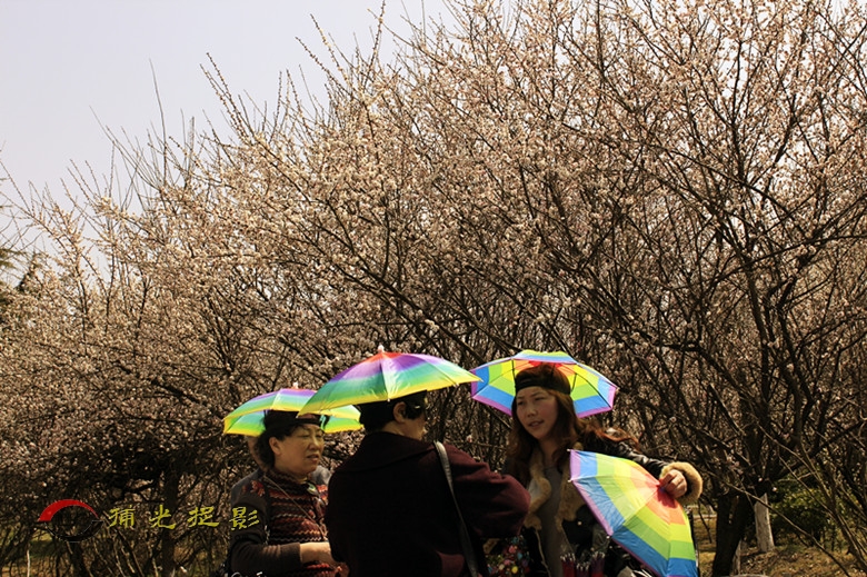 _MG_9110_副本.jpg
