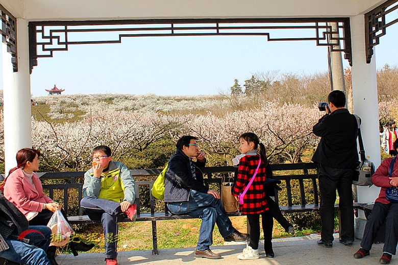 IMG_9180_副本.jpg