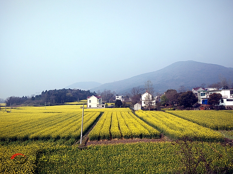 IMG20160327083726_副本.jpg