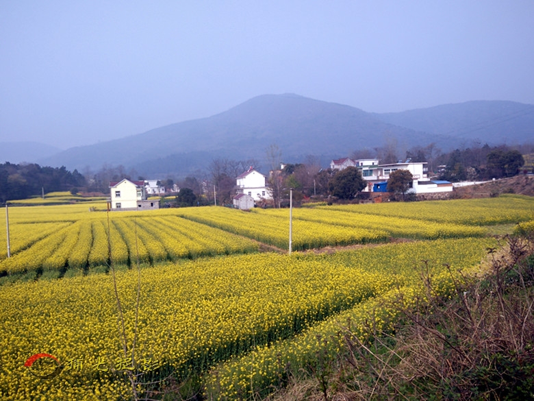 IMG20160327083841_副本.jpg