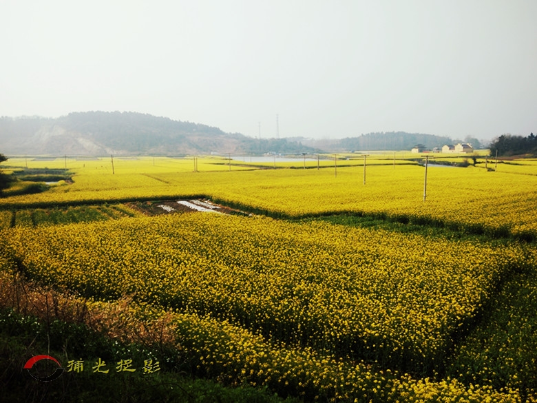 IMG20160327083747_副本.jpg