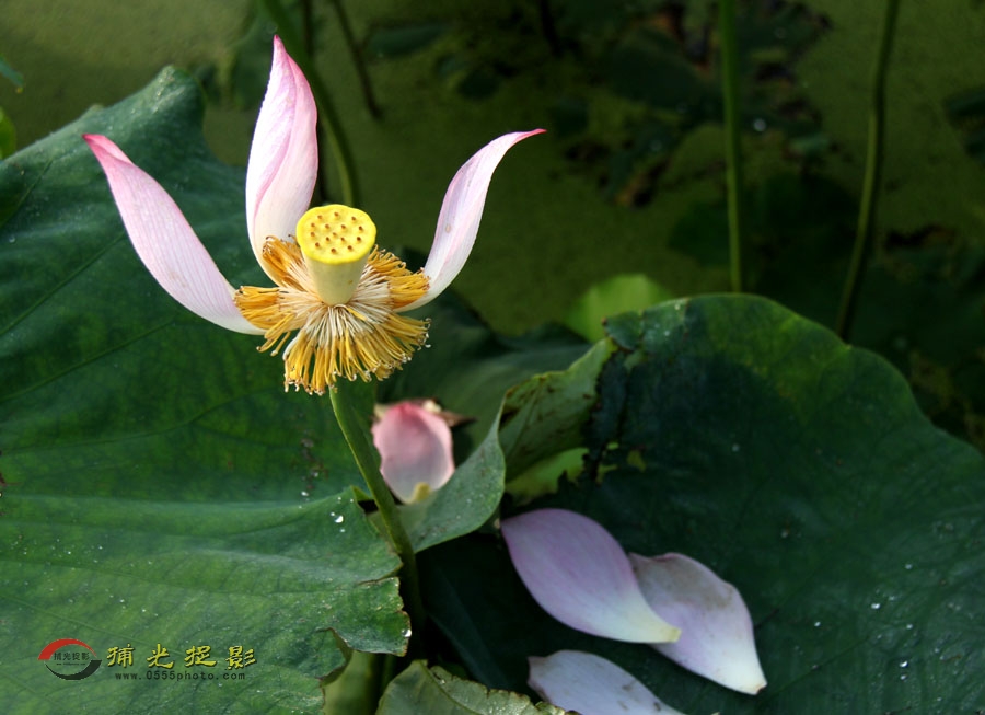 IMG_9672.jpg