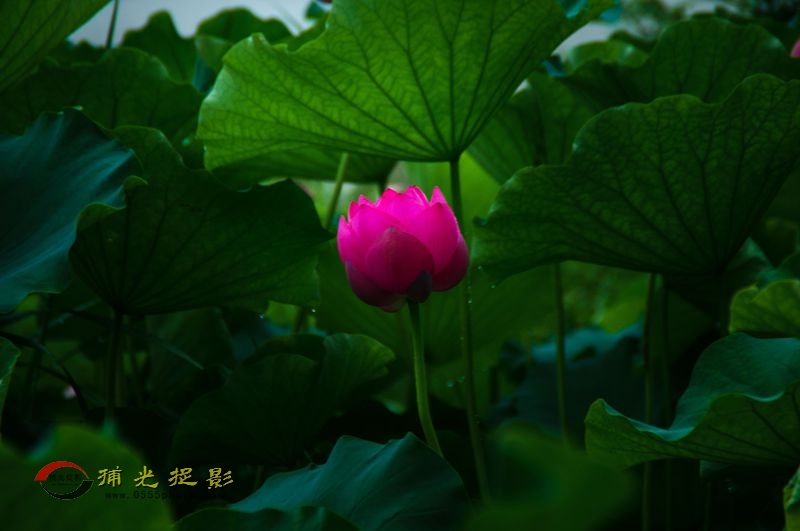 _DSC0015_.jpg