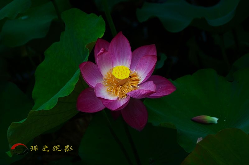 _DSC0048_.jpg