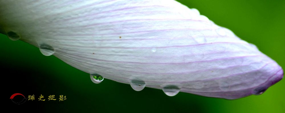 _DSC0240_.jpg