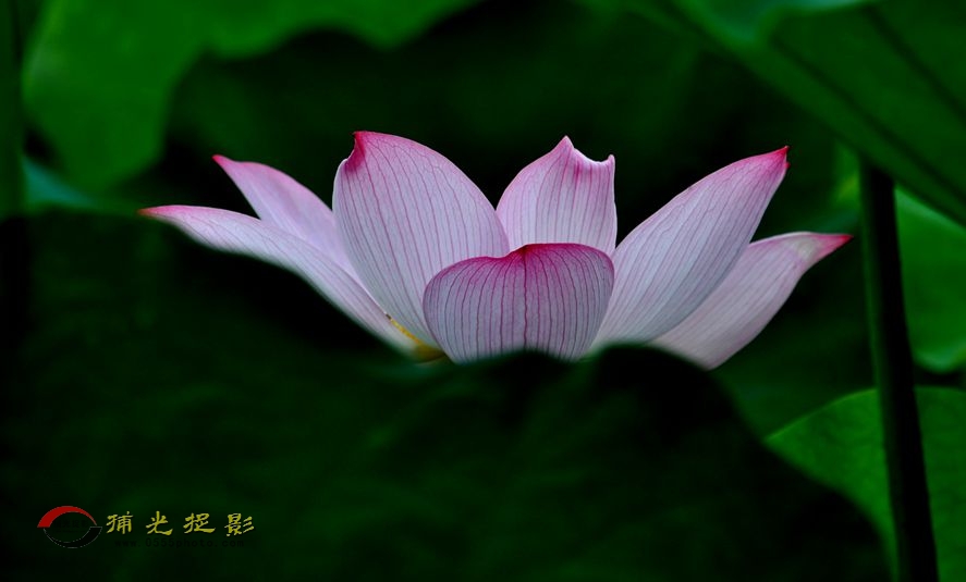 DSC_3519_.jpg