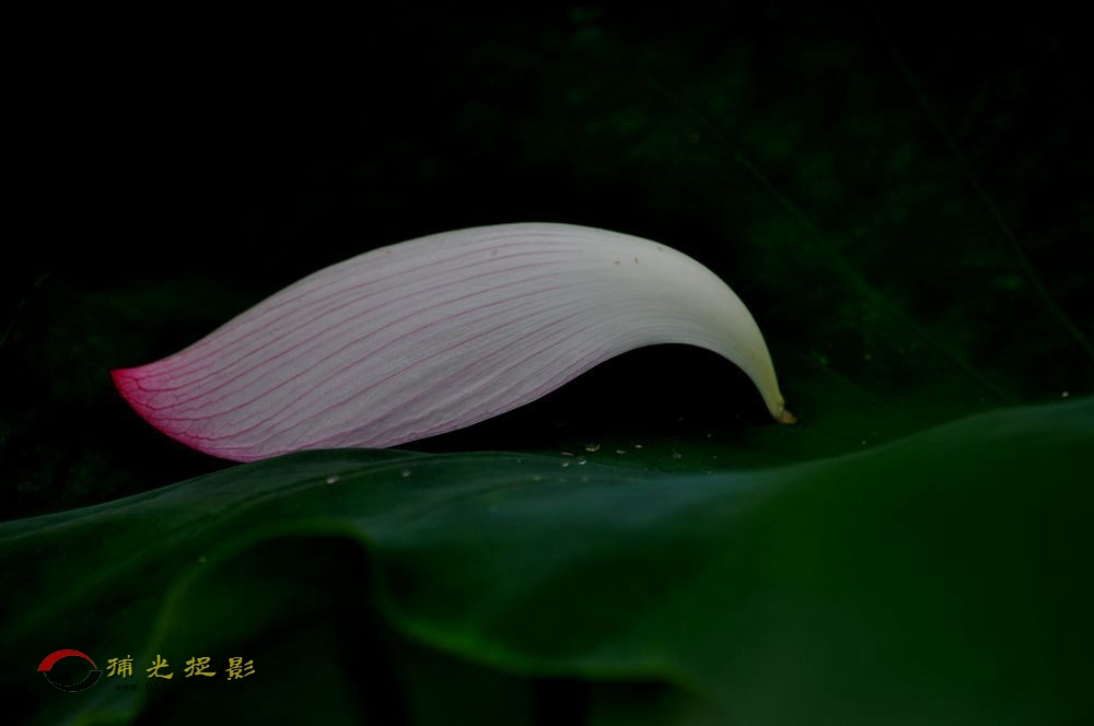 DSC_3539_.jpg
