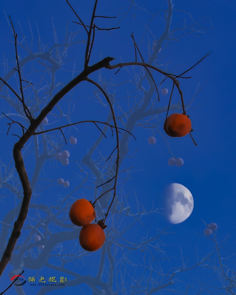 ��ع�� ������ɫ.jpg