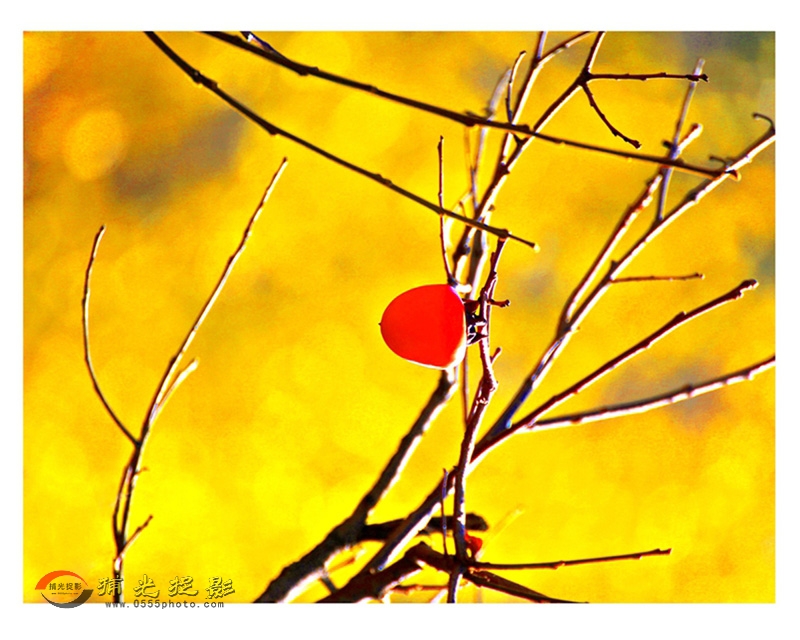 ��С���������ɡ�1 (1).jpg