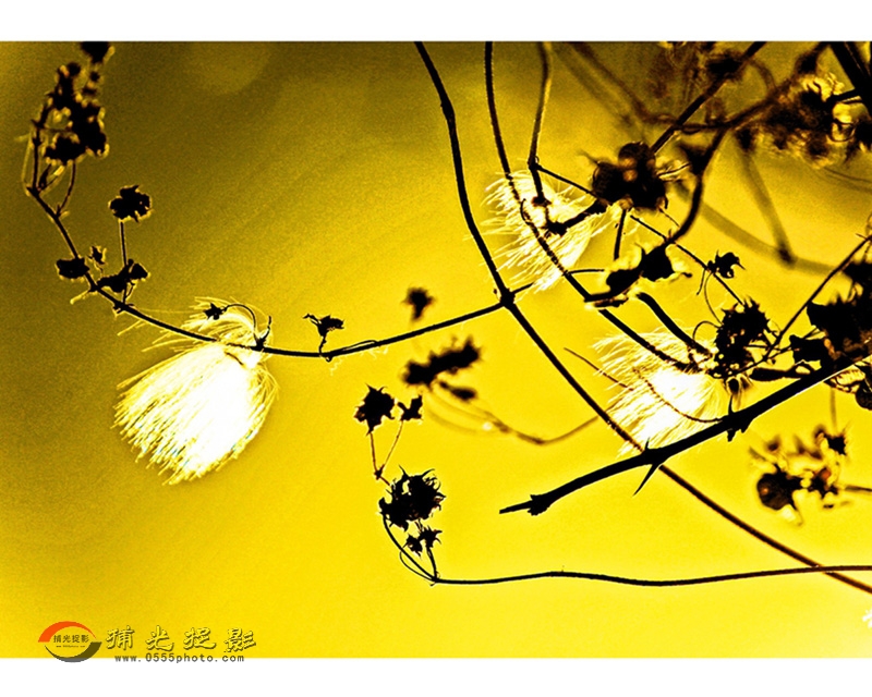 ��С���������ɡ�1 (4).jpg