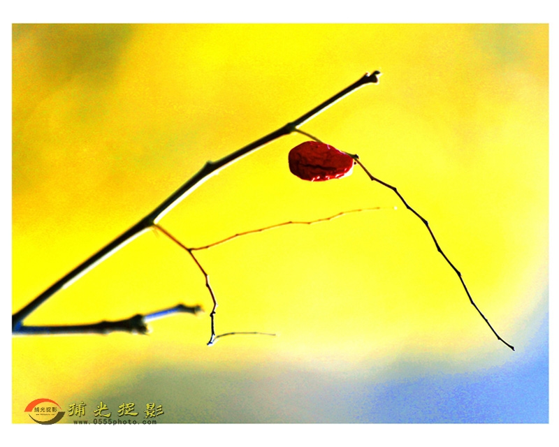 ��С���������ɡ�1 (5).jpg