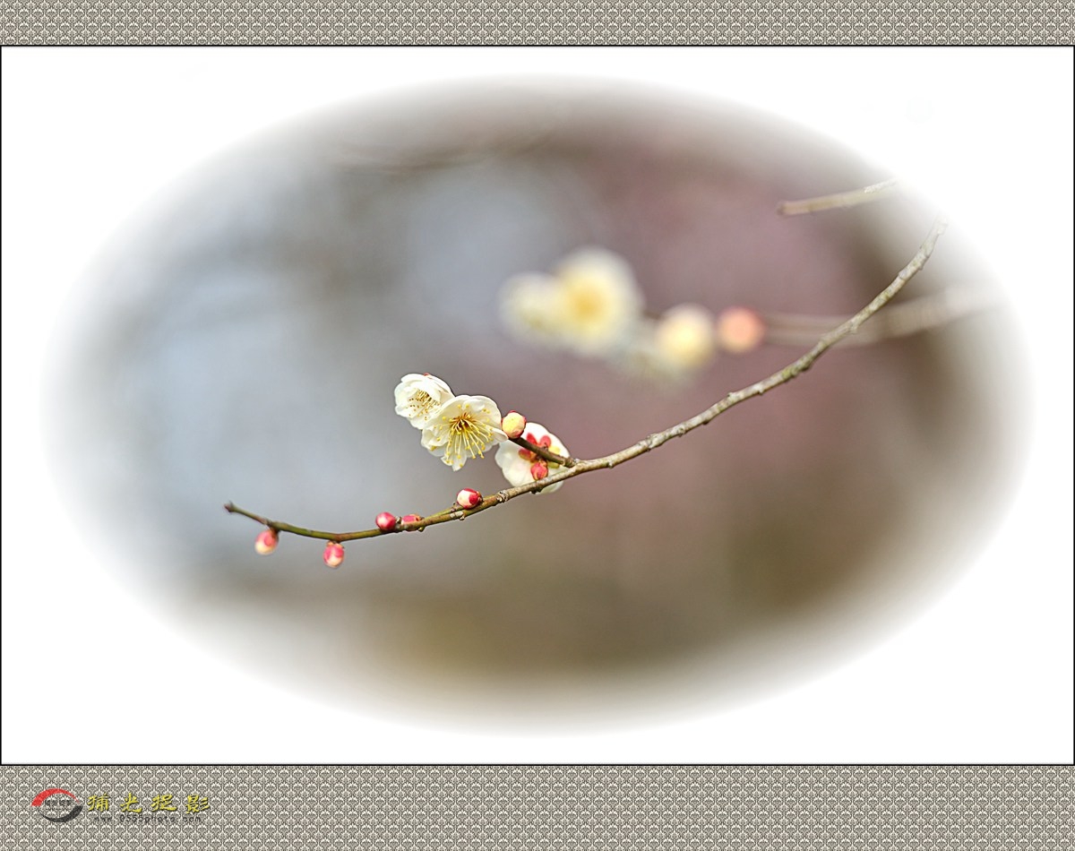 LMD_1132_副本.jpg