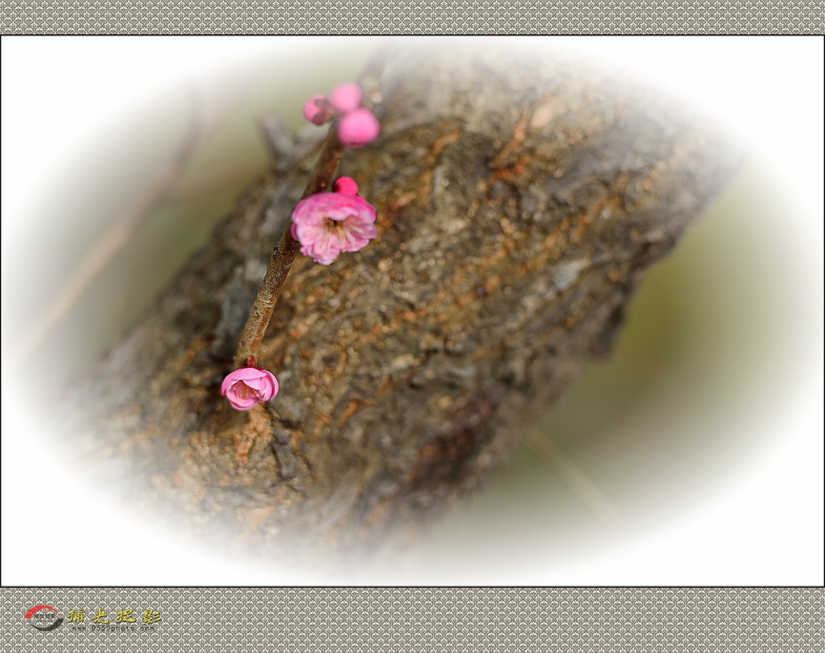 LMD_1133_副本.jpg