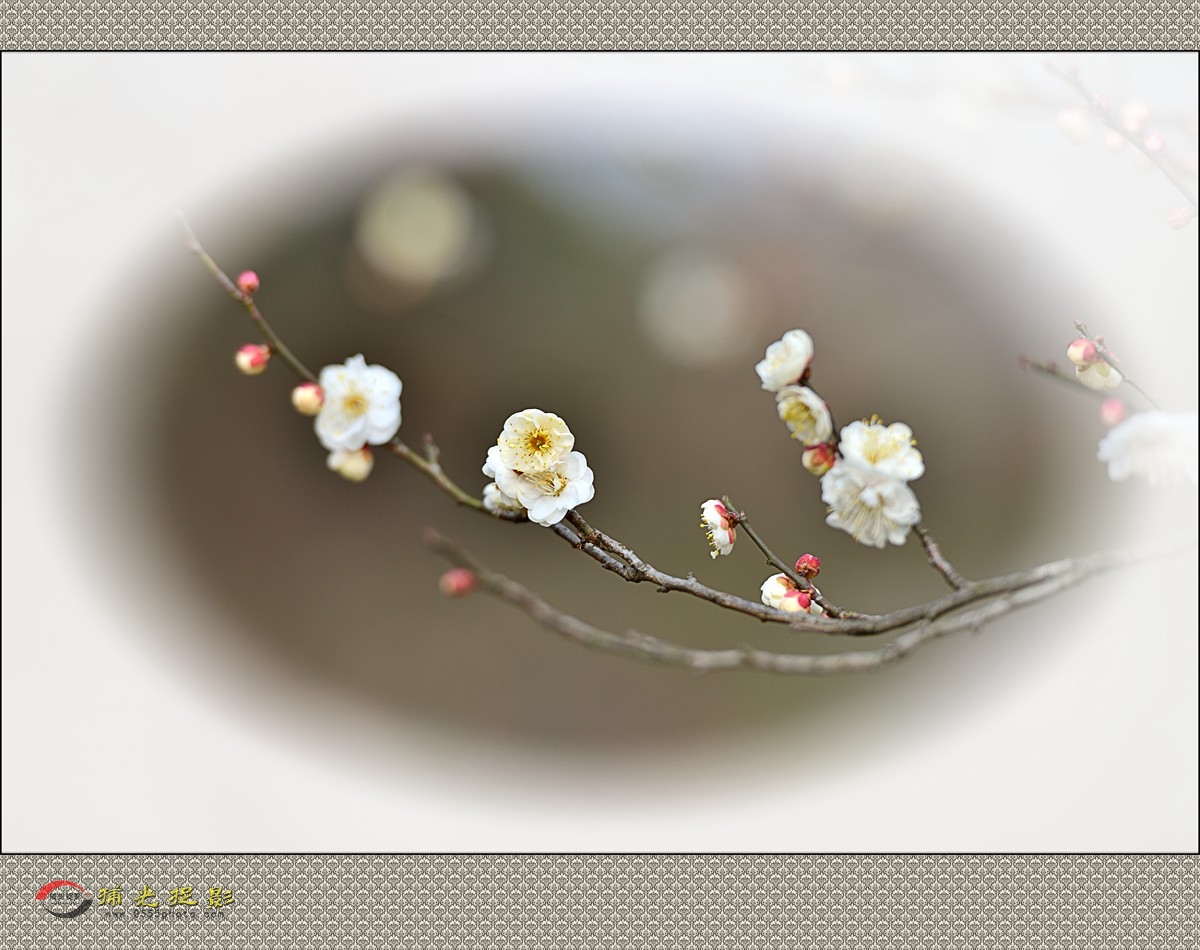 LMD_1139_副本.jpg