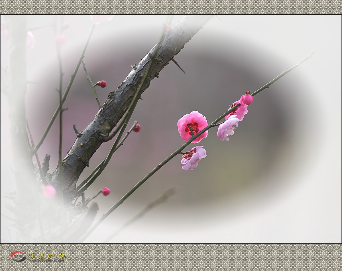 LMD_1140_副本.jpg