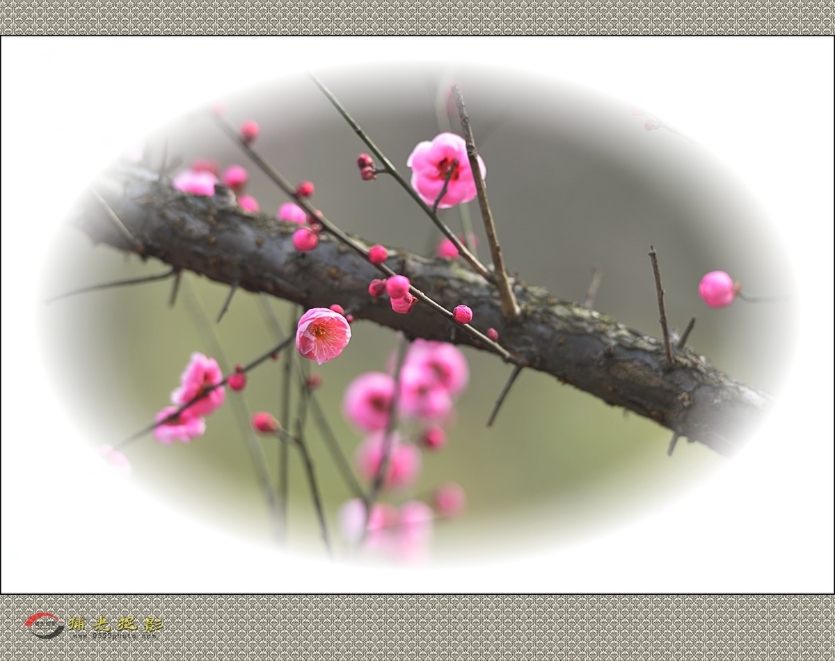 LMD_1141_副本.jpg