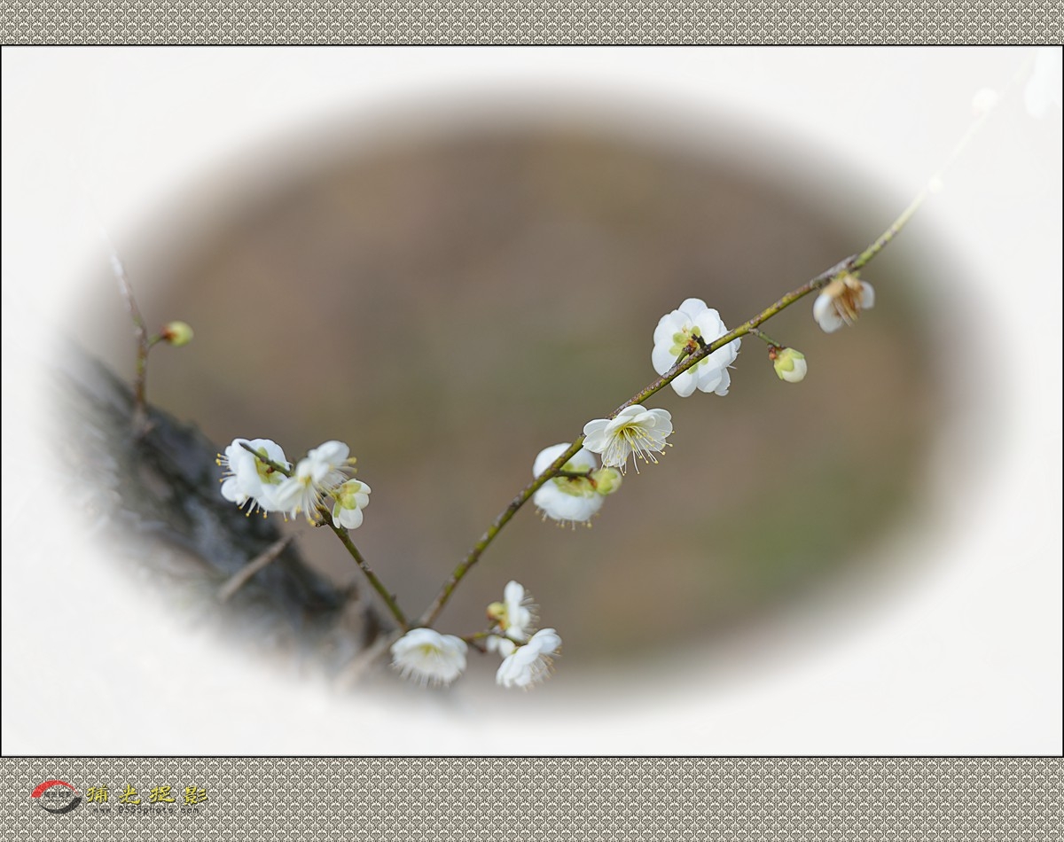 LMD_1143_副本.jpg