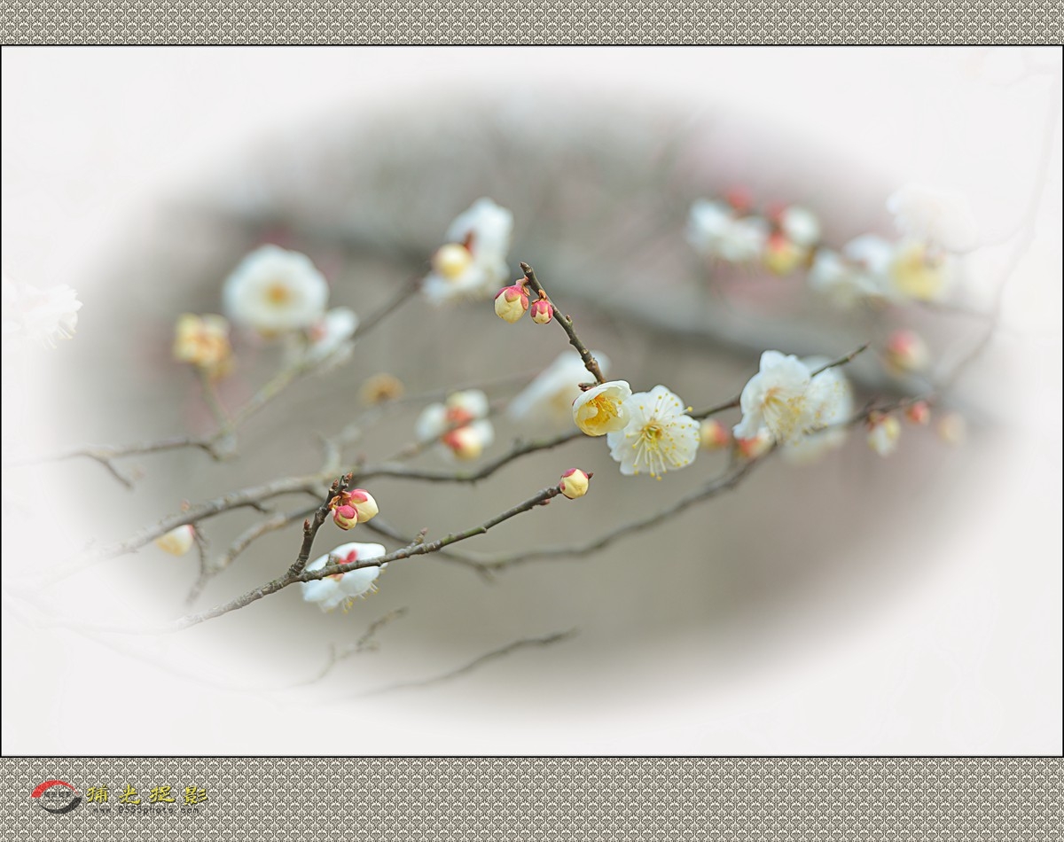 LMD_1148_副本.jpg