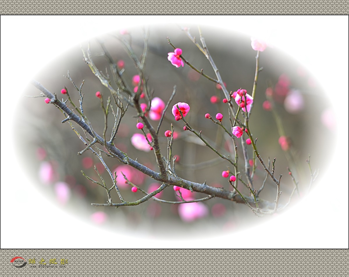 LMD_1155_副本.jpg