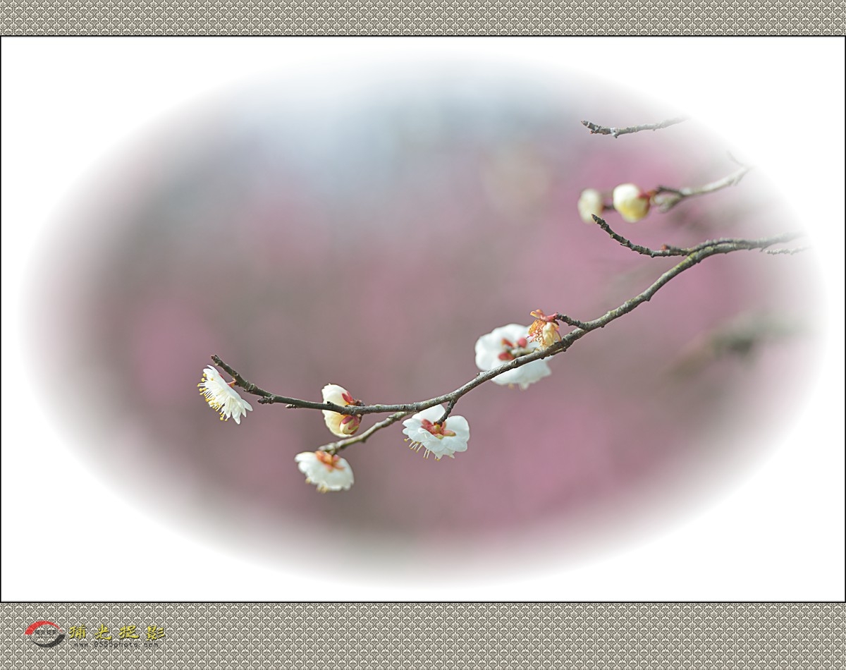 LMD_1149_副本.jpg