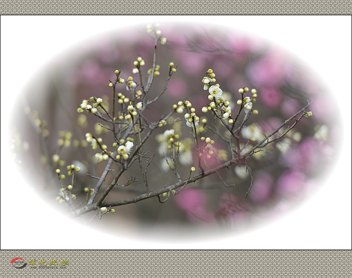 LMD_1154_副本.jpg