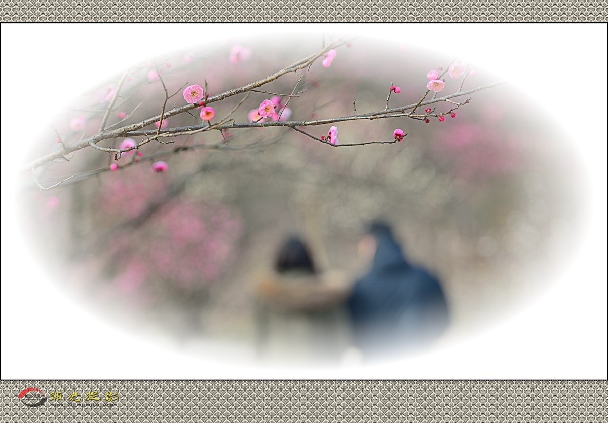 LMD_1144_副本.jpg