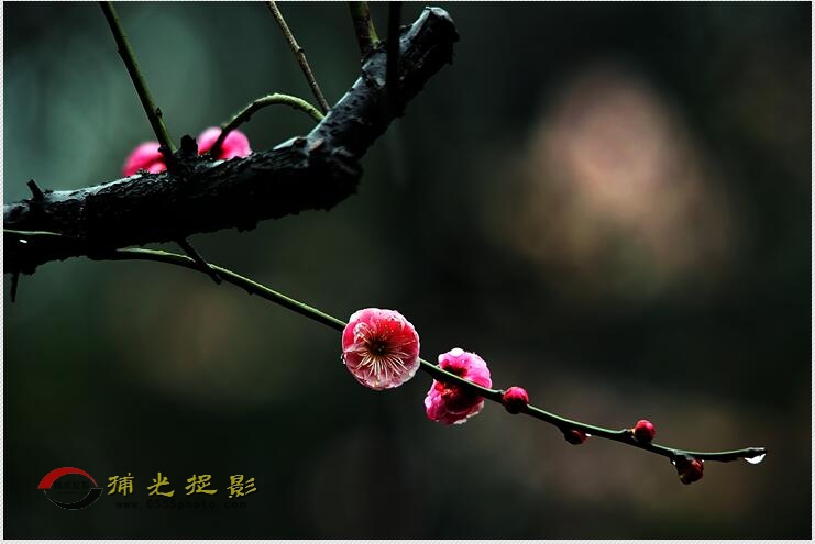 QQͼƬ20170209002712.jpg