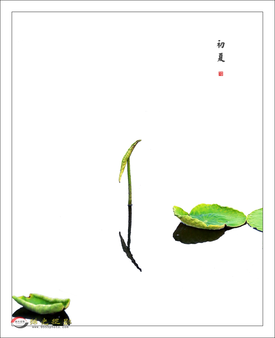 初夏.jpg