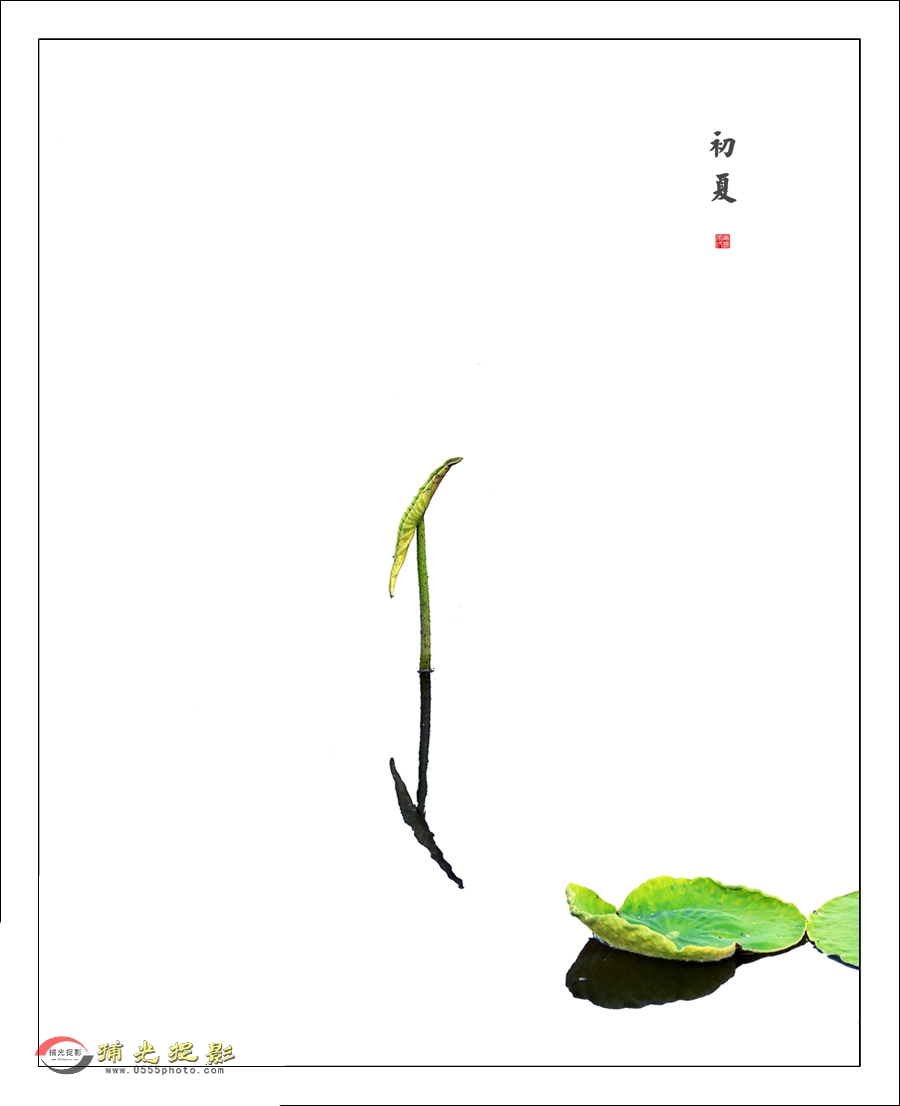 初夏小图2.jpg