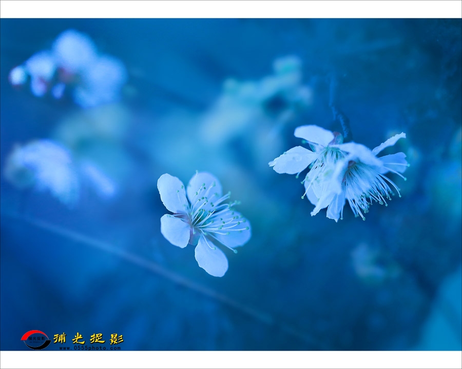 033Ӱ㡷5.jpg