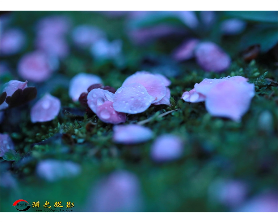 033Ӱ㡷7.jpg