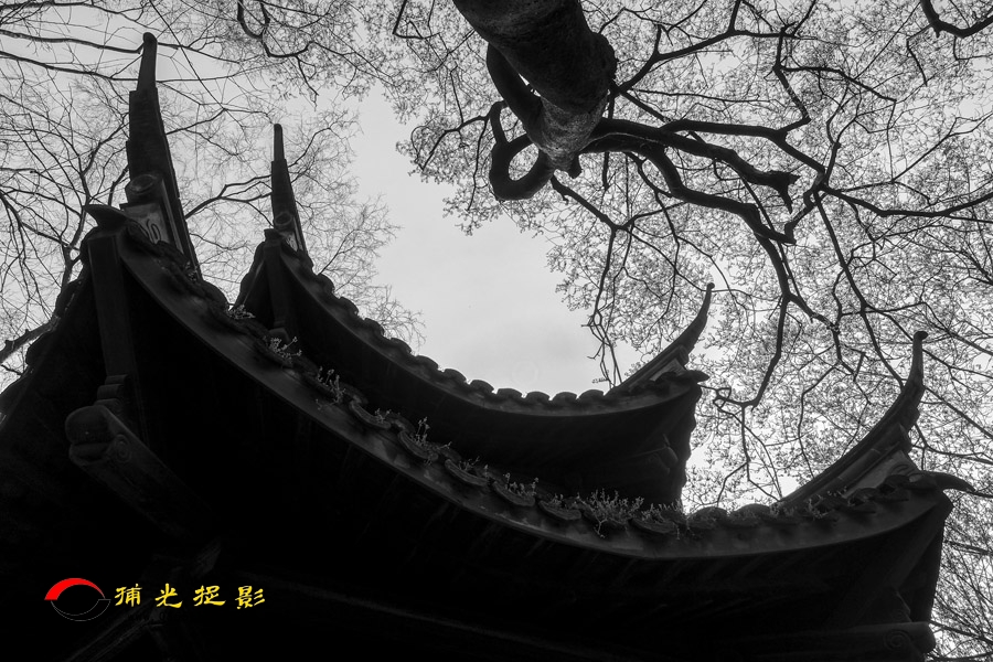014ʯӡ01.jpg