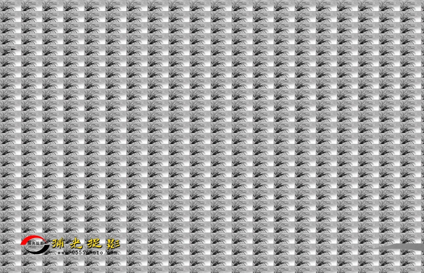 ز - _conew1.jpg