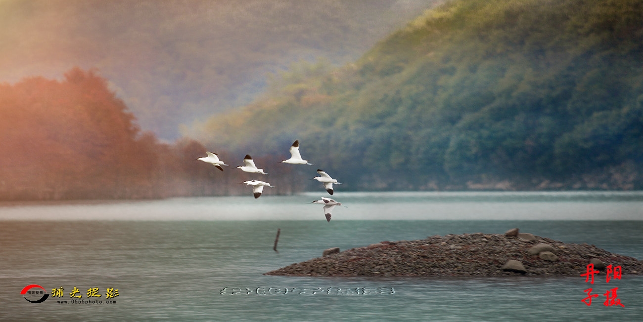 IMG_6302-1_副本.jpg