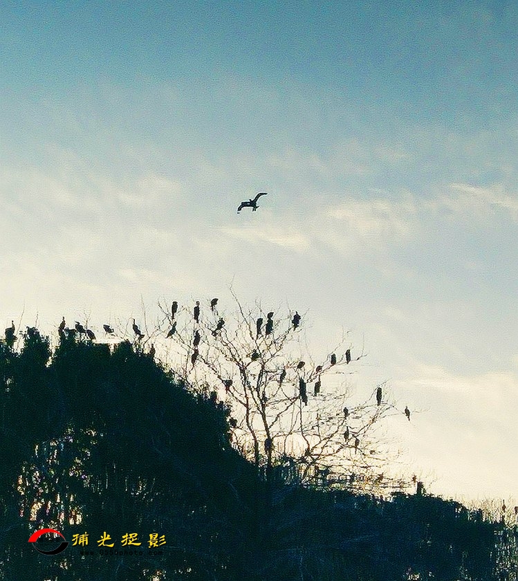 IMG20171222073323_mh1514203898361_副本_副本.jpg