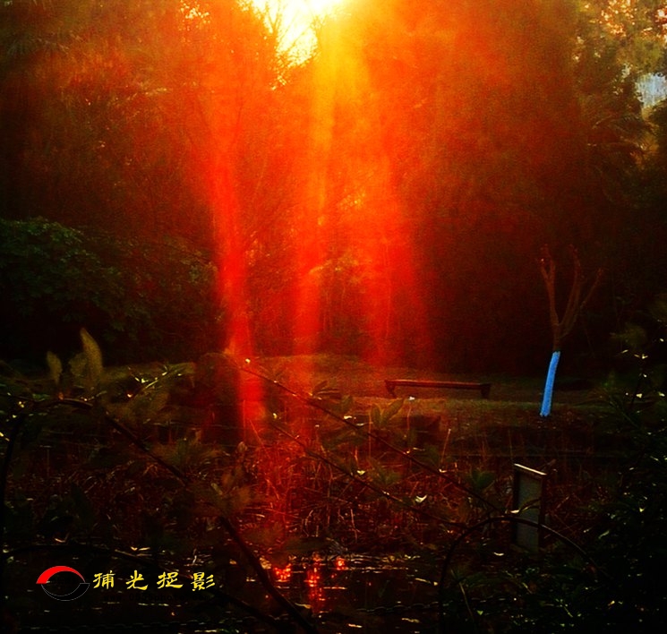 IMG20171226073722_mh1514246835508_副本.jpg