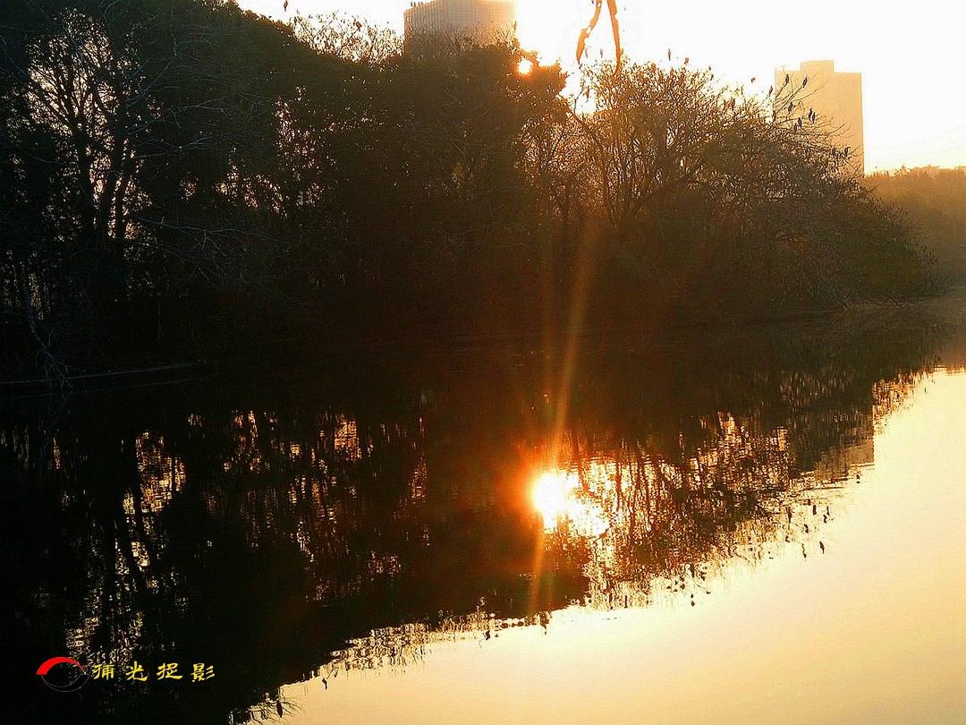IMG20171221074333_mh1514204412030_副本.jpg