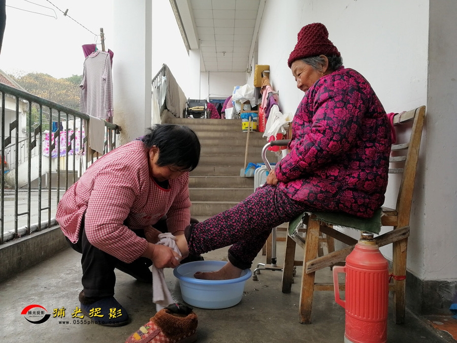 谢德香《反哺》.jpg