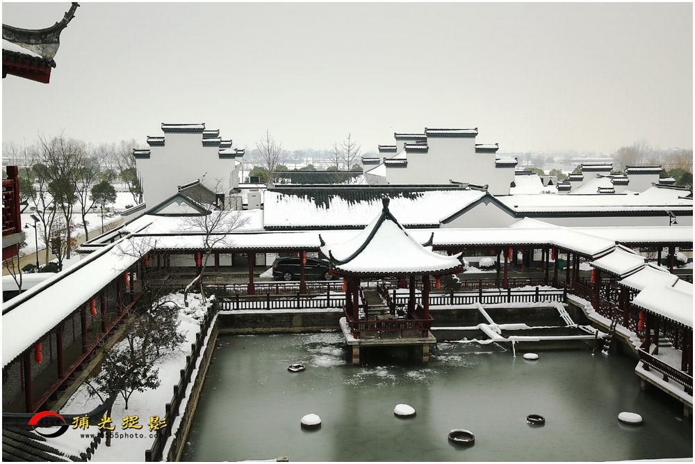 145-《雪后更妖娆》（组照4）-尹秀忠.jpg