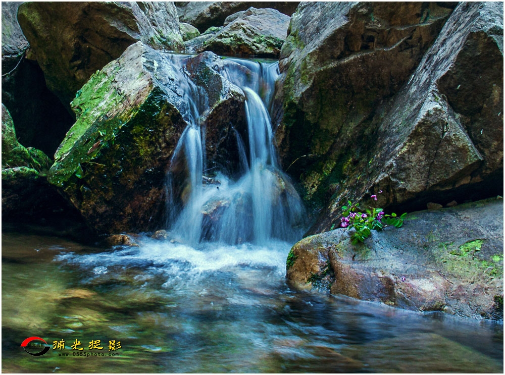 338-《清泉石上流》-陈智娟 .jpg