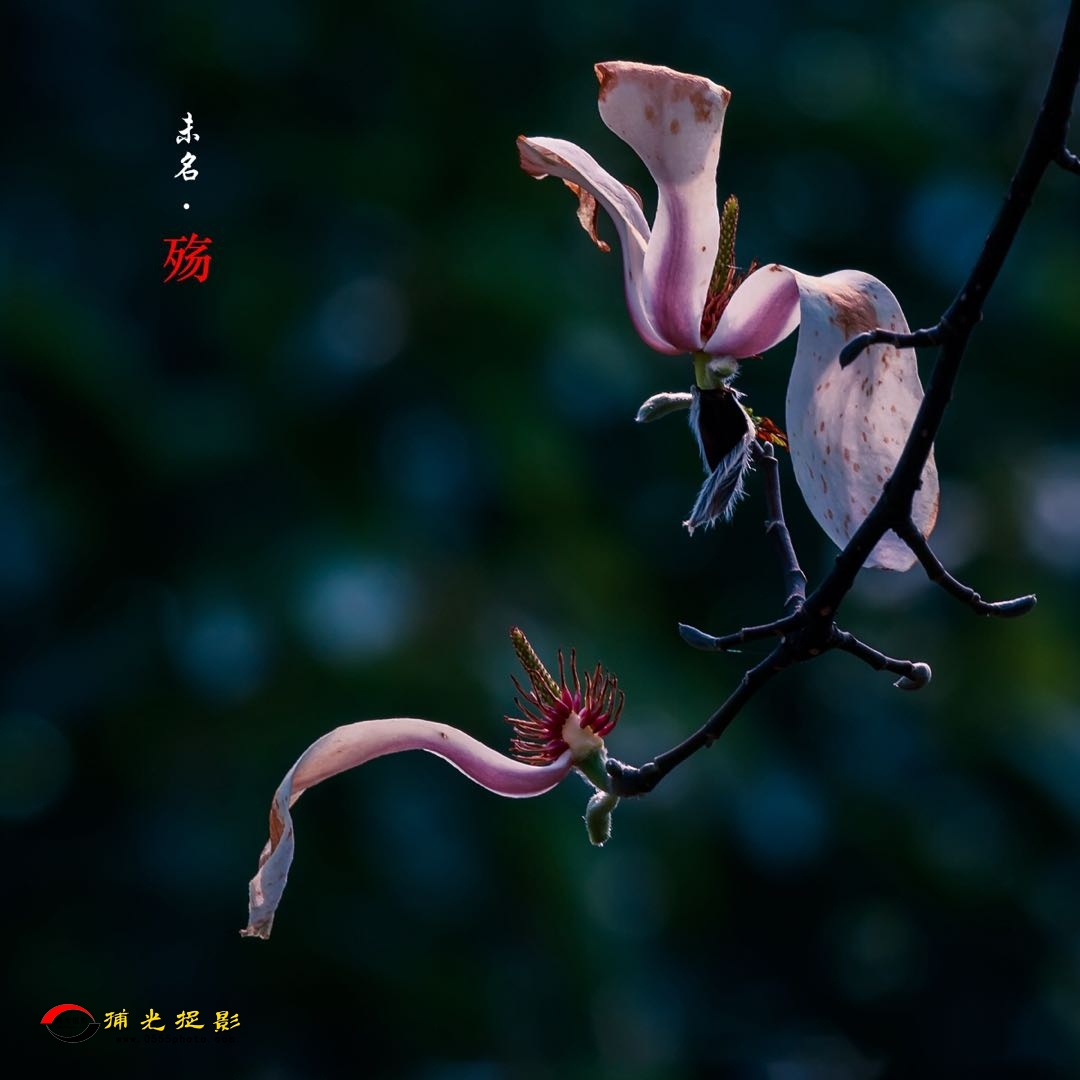 ΢ͼƬ_20180625083451.jpg