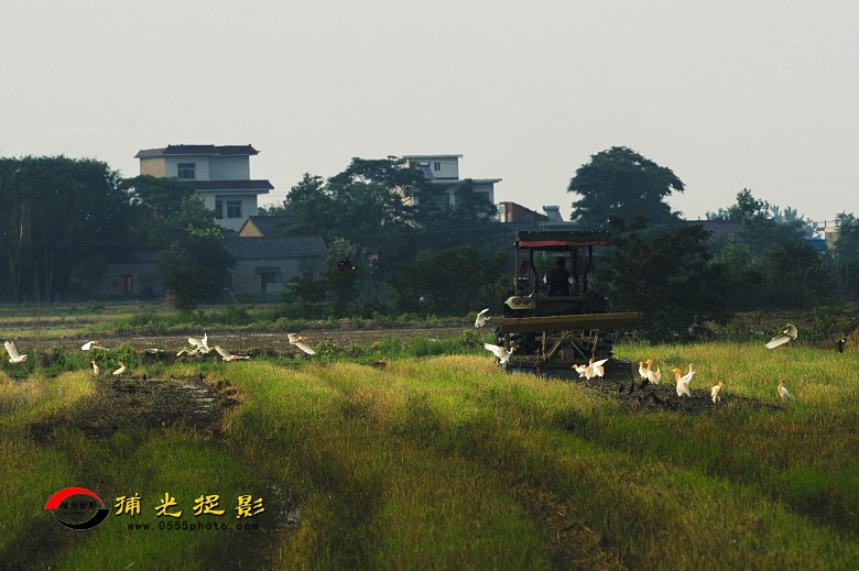 DSC00287_ͼ.jpg